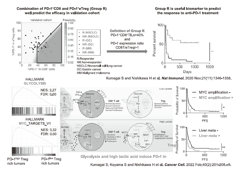 Figure 3. Elucidating Treg cell diversity and differentiation in the TME