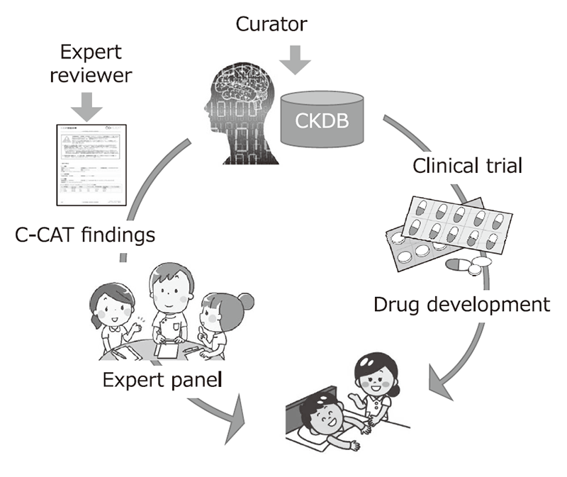 Figure 1. Development of CKDB to improve the quality of genome medicine