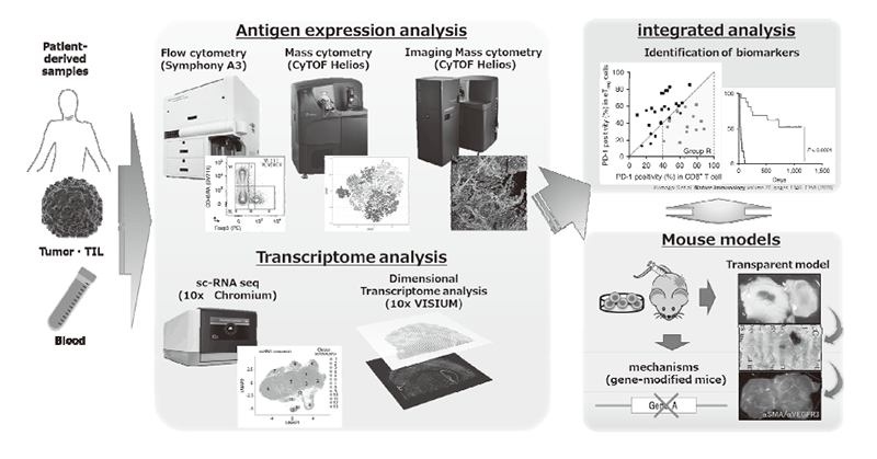 Figure 1. Integrated multi-omics analyses on patient-derived tumor/immune cell samples.