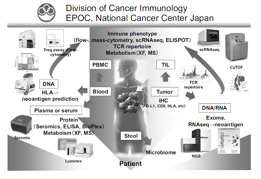 Figure 1. We are investigating the dynamic immune state in cancer patients