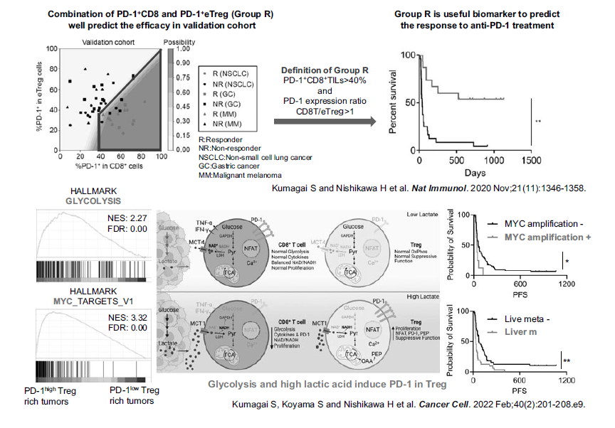 Figure 2. Developing immuno-precision biomarkers and elucidating the mechanisms of PD-1 expression