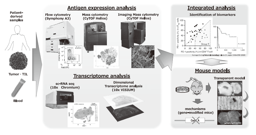 Figure 1. Integrated multi-omics analyses on patient-derived tumor/immune cell samples.
