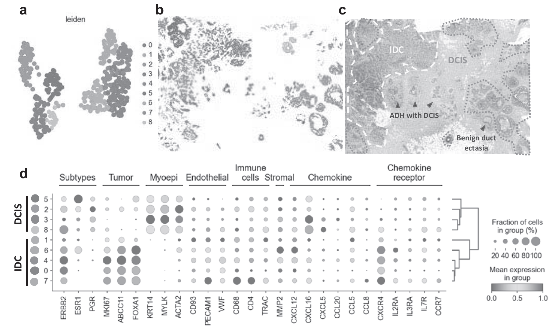 Figure 1. Results of analysis performed with SpatialKnifeY (SKNY) 