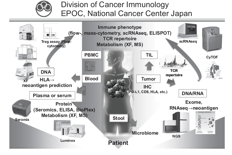Figure 1. We are investigating the dynamic immune state in cancer patients