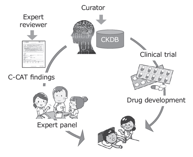 Figure 1. Development of CKDB to improve the quality of genome medicine