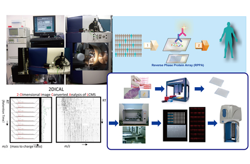Don't get cancer, Not beaten by cancer, and Live with cancer.