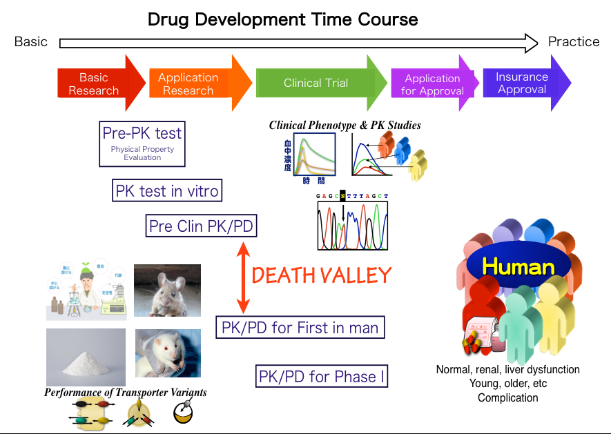 drug_development_time_course