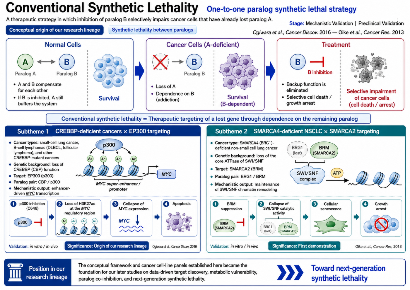 HighLight_ConventionalSyntheticLethality_260809.png