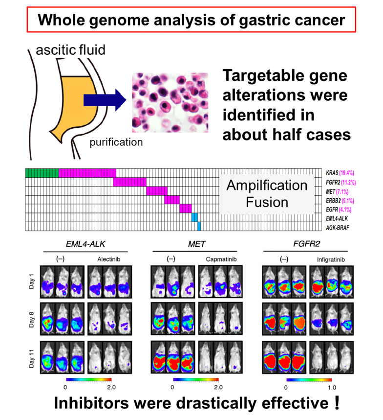 Identification of tumorigenesis