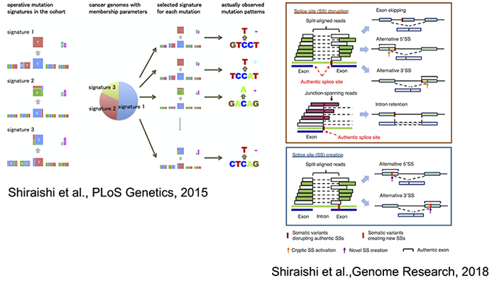 Statistical methods for cancer genomics