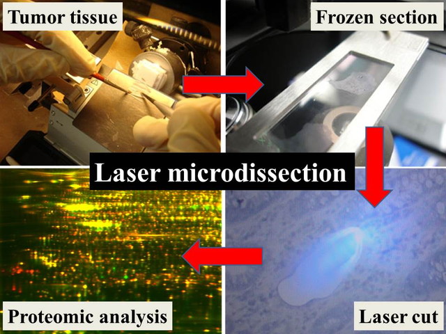 figure of Development of experiment technology