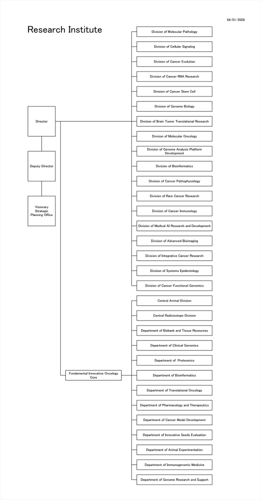 organization