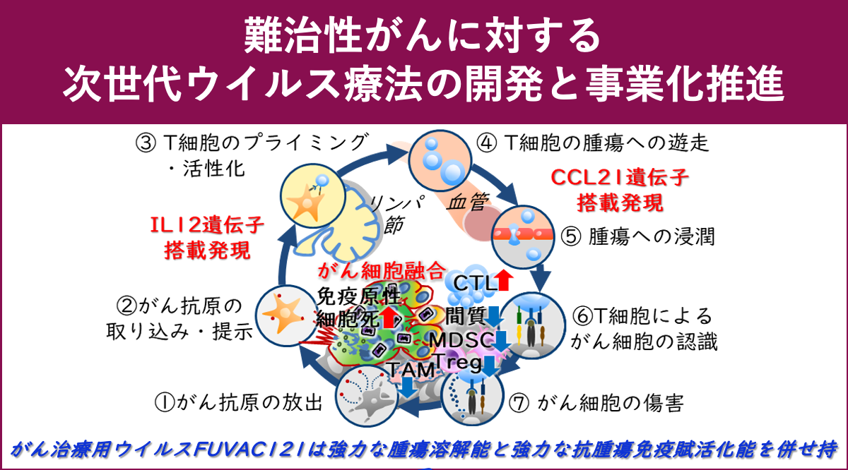 難治性がんに対する次世代ウイルス療法の開発と事業化推進
