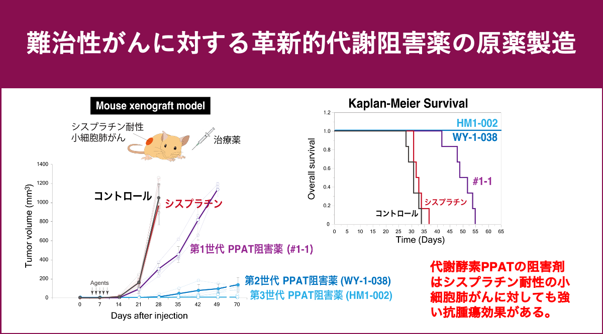 難治性がんに対する革新的代謝阻害薬の原薬製造