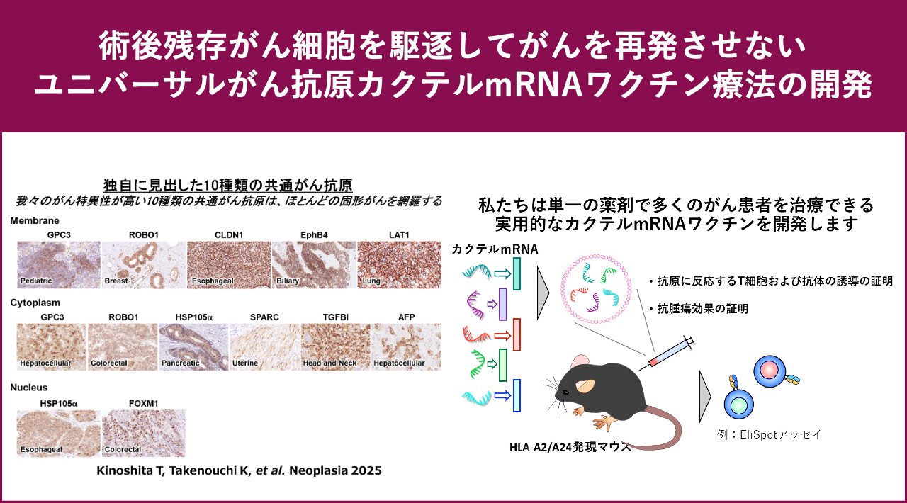 術後残存がん細胞を駆逐してがんを再発させないユニバーサルがん抗原カクテルmRNAワクチン療法の開発