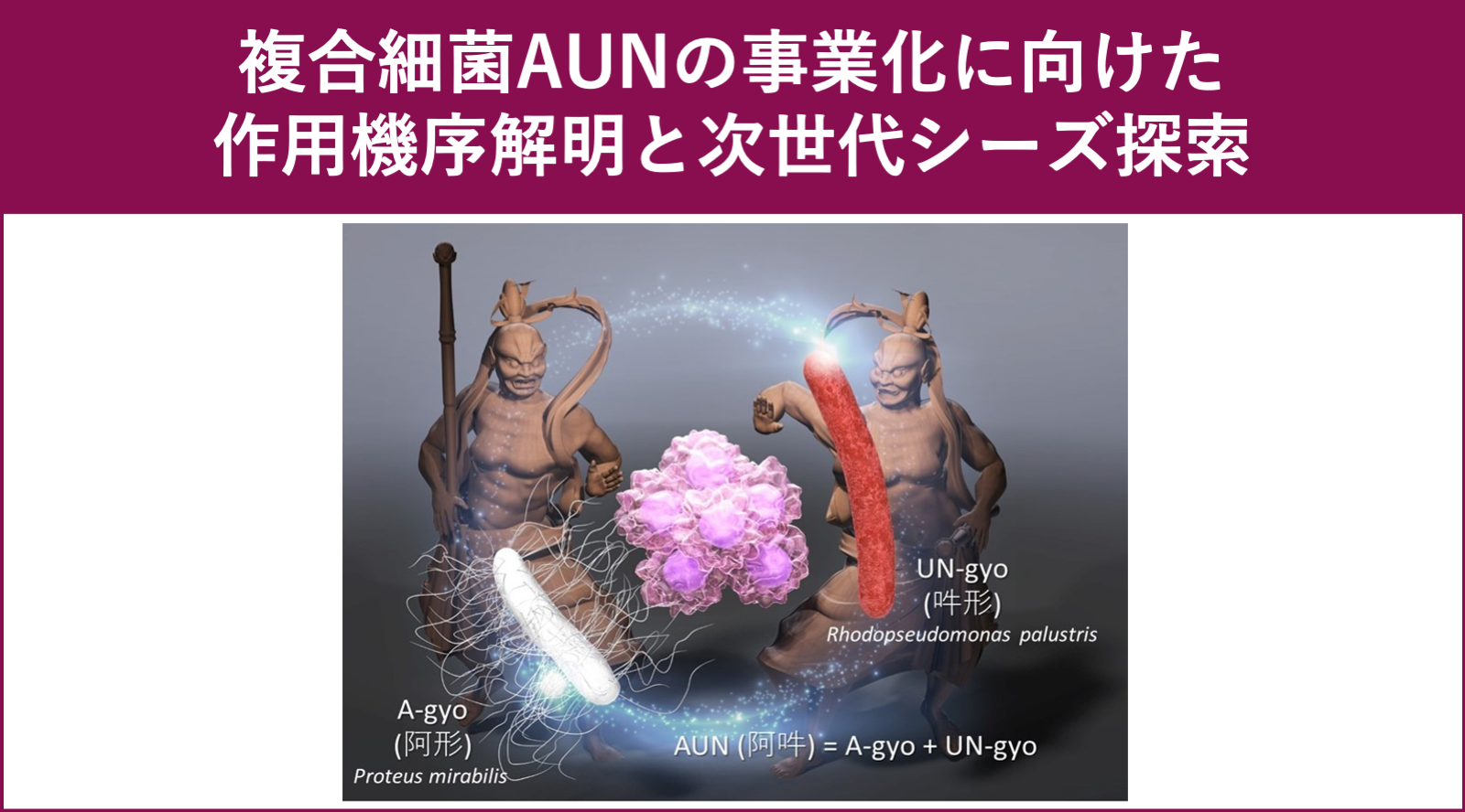 複合細菌AUNの事業化に向けた作用機序解明と次世代シーズ探索