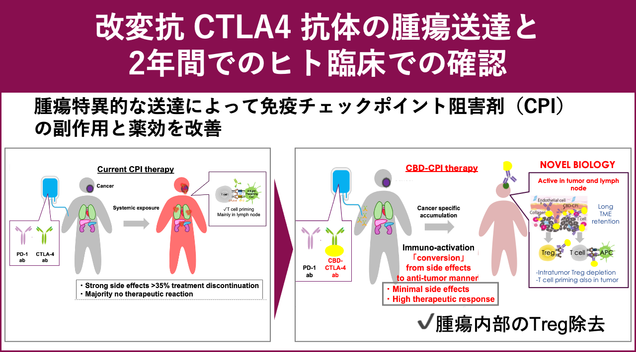 改変抗CTLA4抗体の腫瘍送達と2年間でのヒト臨床での確認
