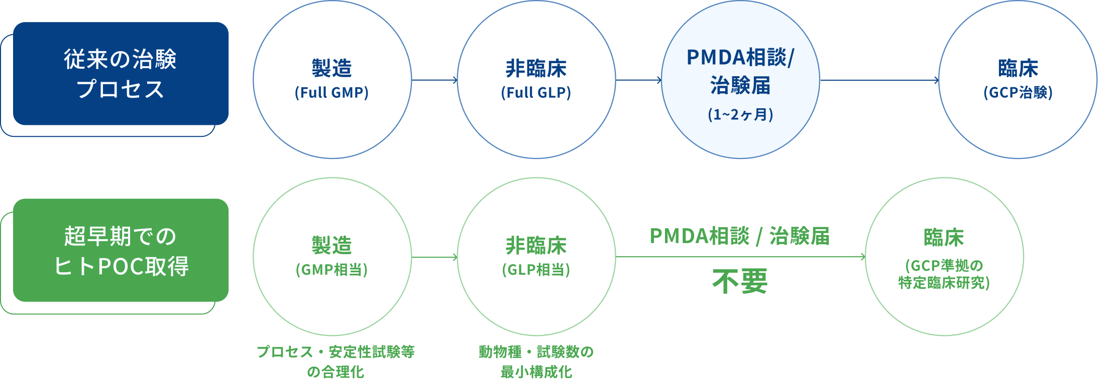 早期臨床開発