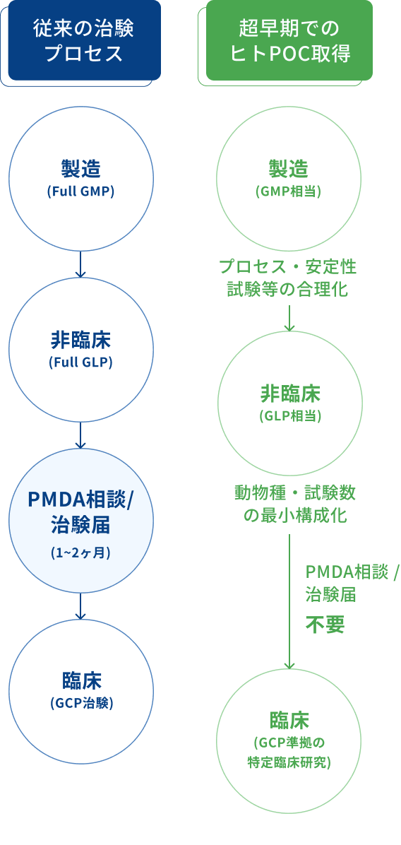 早期臨床開発