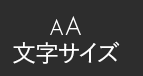 文字サイズ