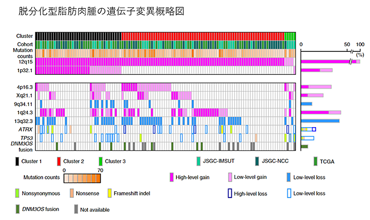 遺伝子変異概略図