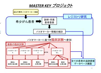 MASTER KEY プロジェクト