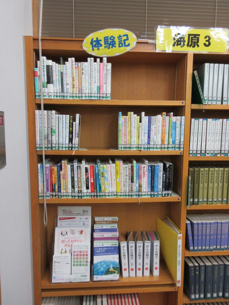 08_ひたちなか市立佐野図書館