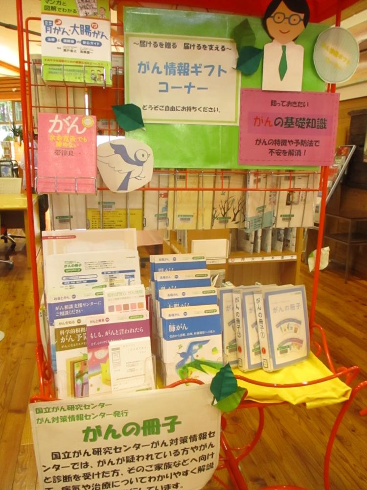 p19_fuji-kawagutiko.JPG