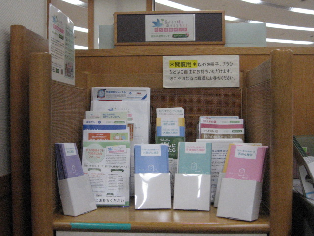 p22_fuji.JPG