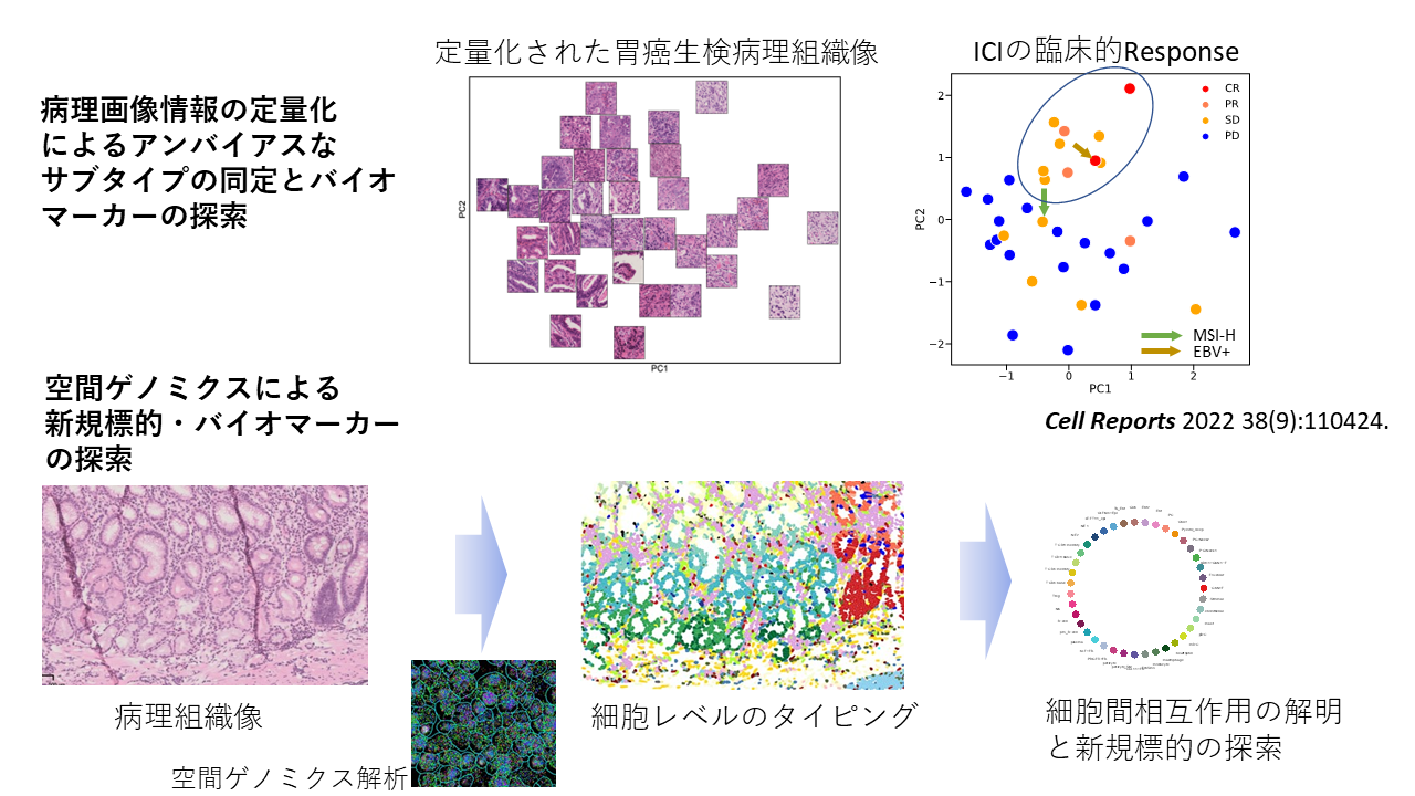 Ishikawa_scheme.png