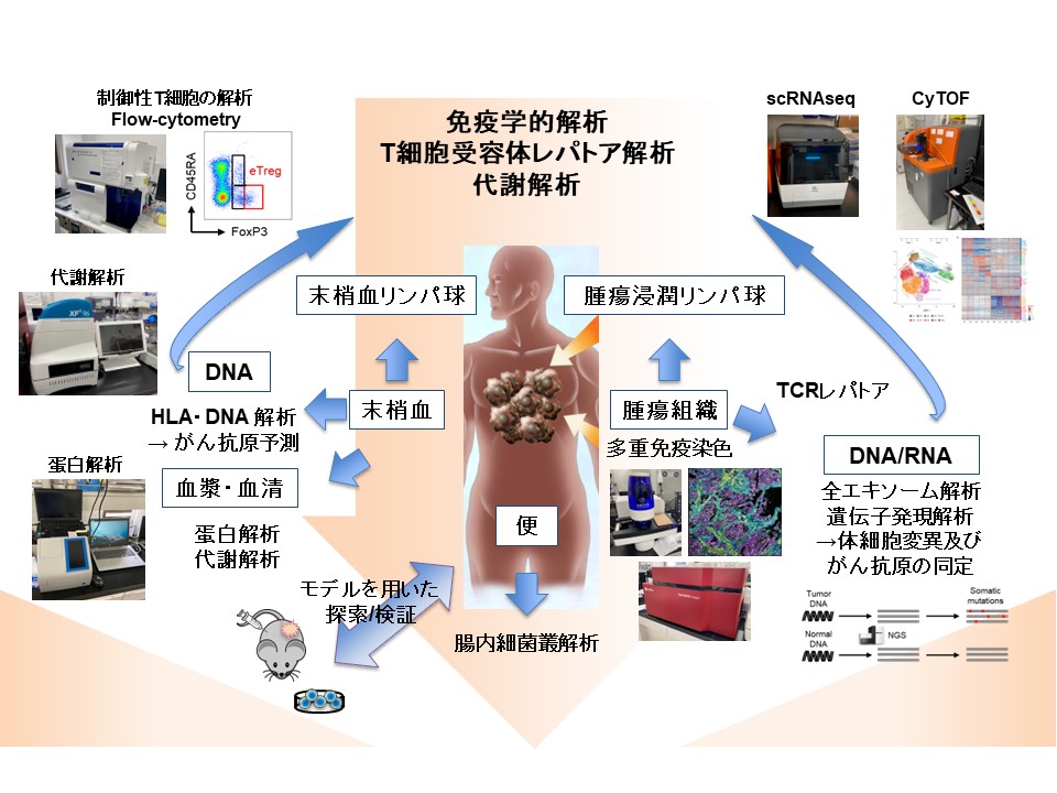 nishikawa_koyama_scheme.jpg