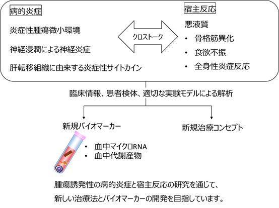 研究コンセプトの画像（日本語）