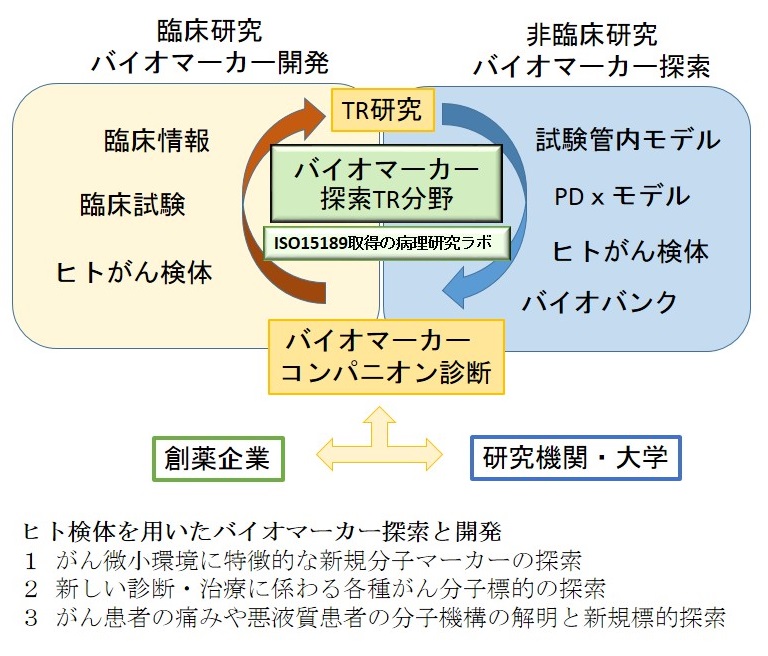 バイオマーカー探索トランスレーショナルリサーチ分野 柏 先端医療開発センター