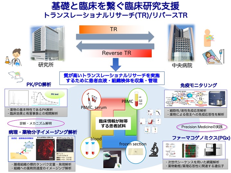 研究概略図