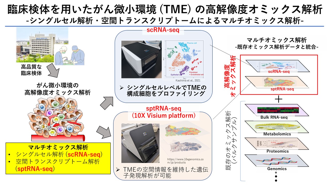 臨床検体を用いたがん微小環境（TME）の高解像度オミックス解析