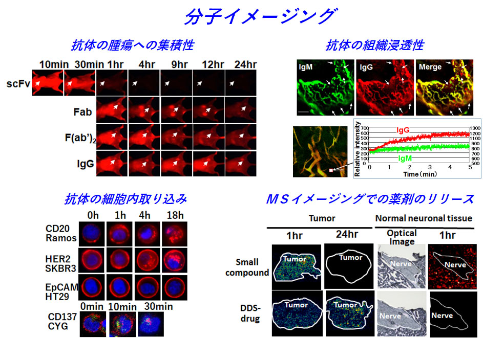 Fig3.jpg