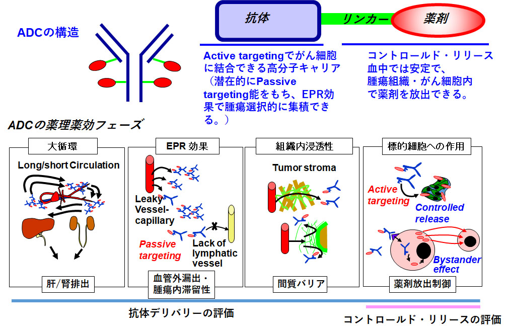 Fig4.jpg