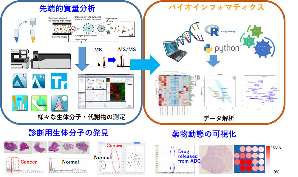 Fig10.jpg