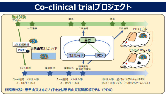 Fig12.jpg