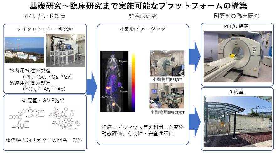 基礎研究