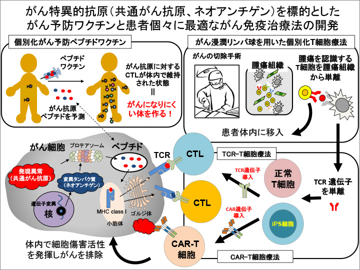 研究概略図1