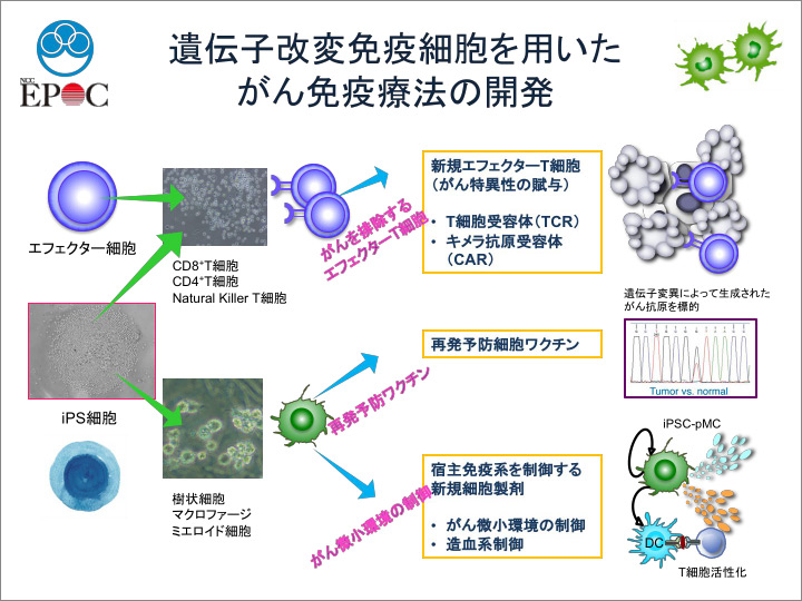 研究概略図2