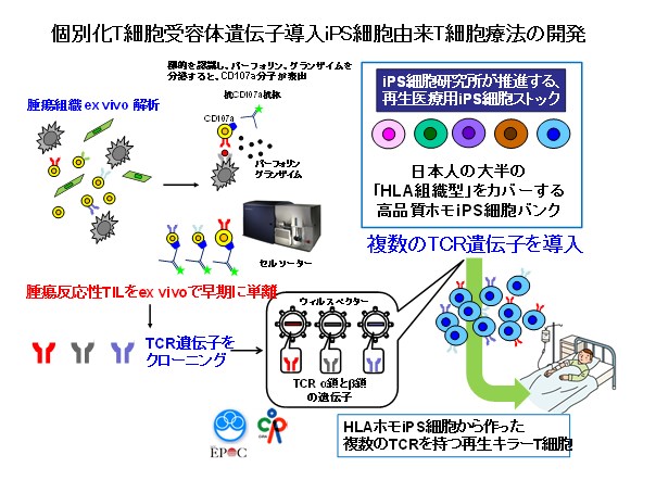 研究内容5-3