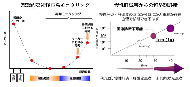 研究内容6-1