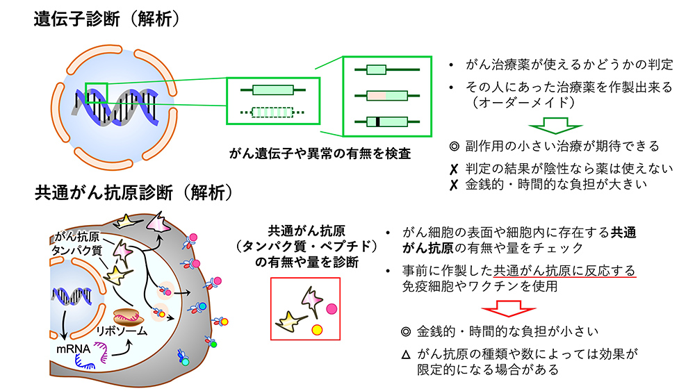 遺伝子診断(解析)・共通がん抗原診断(解析)
