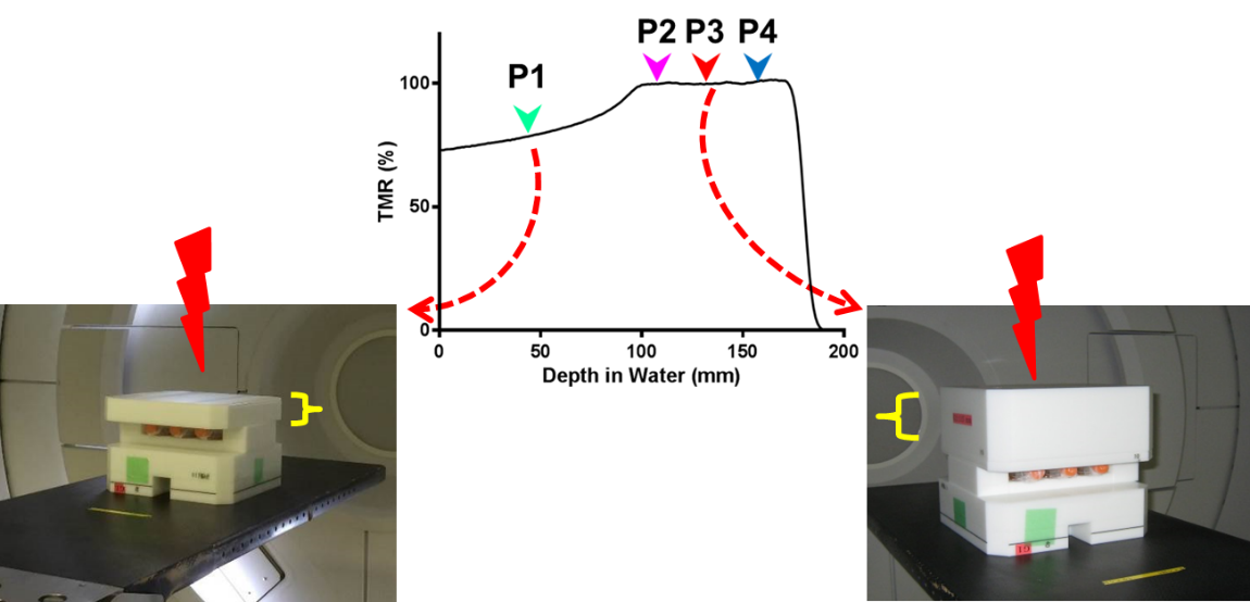 陽子線照射方法の図