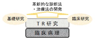 革新的な診断法・治療法の開発の図