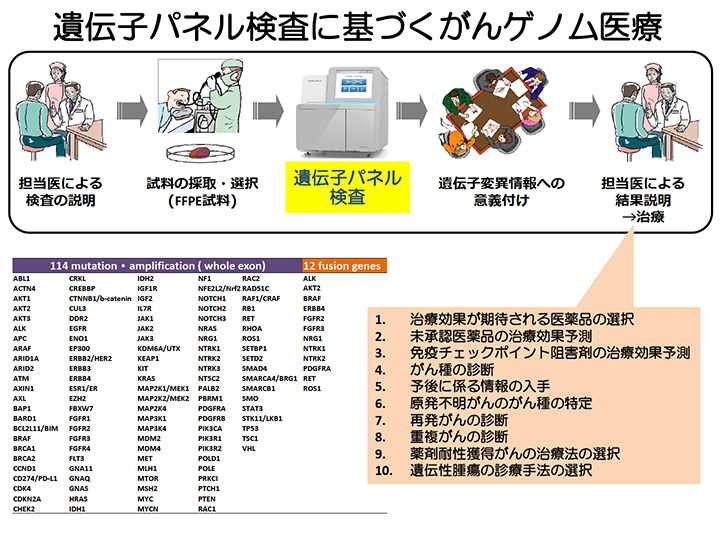 研究概略図
