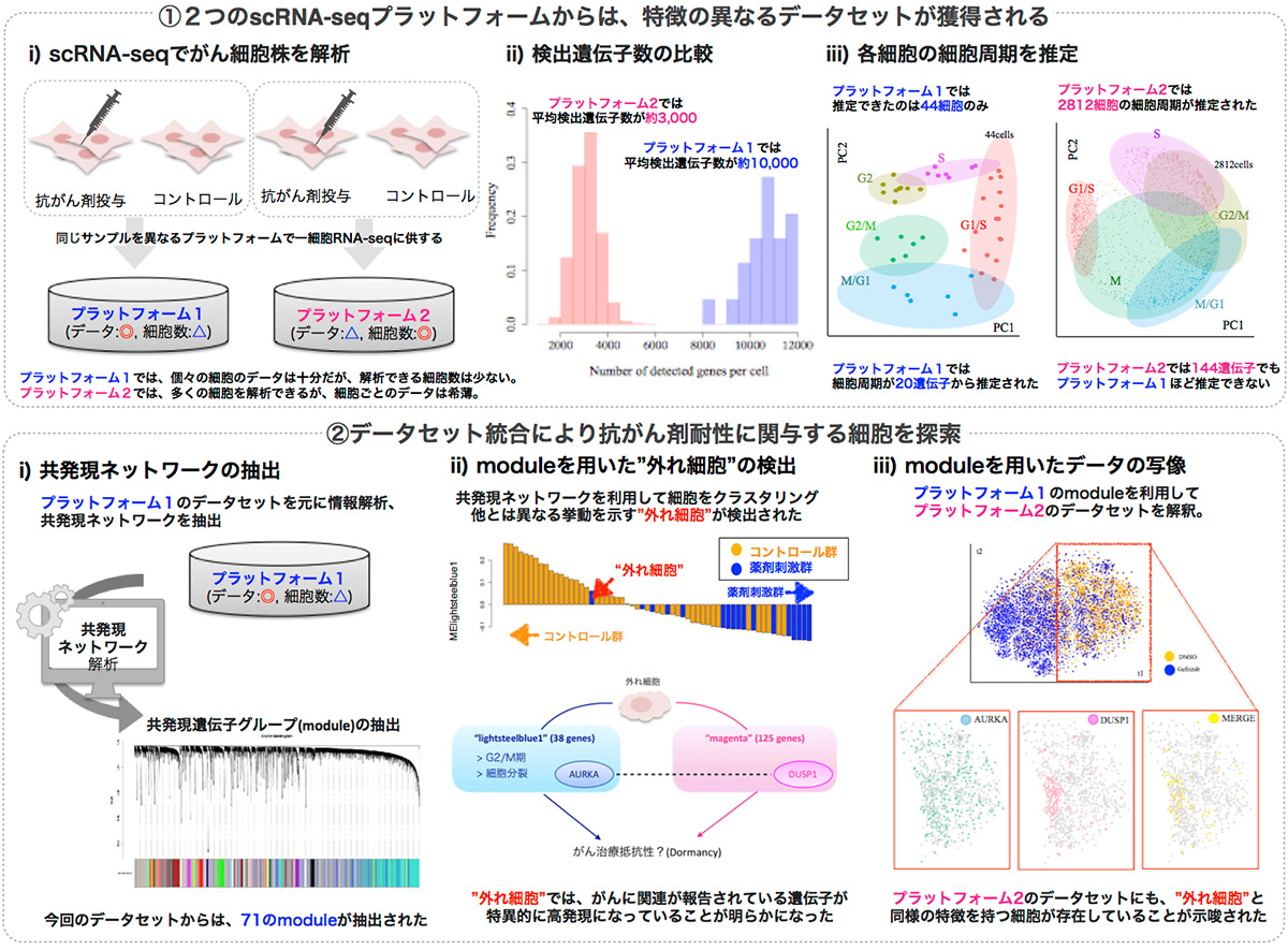 （図）一細胞解析による抗がん剤耐性メカニズムの解明