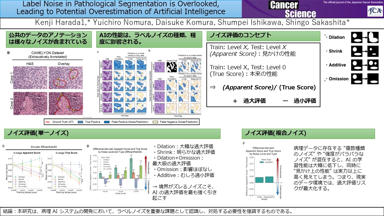 論文掲載】病理AIにおけるラベルノイズが性能評価の過大評価を招く可能性を指摘 | 先端医療開発センター